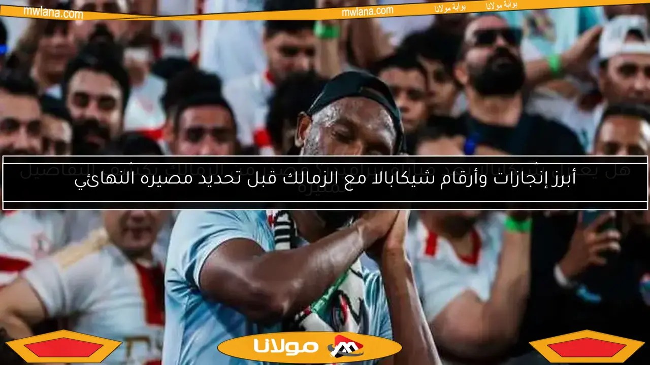 حازم إمام يتحدث عن رحيل شيكابالا: حق مشروع.. وتحديثات حول تجديد عقود عبد الله السعيد ومحمد السيد