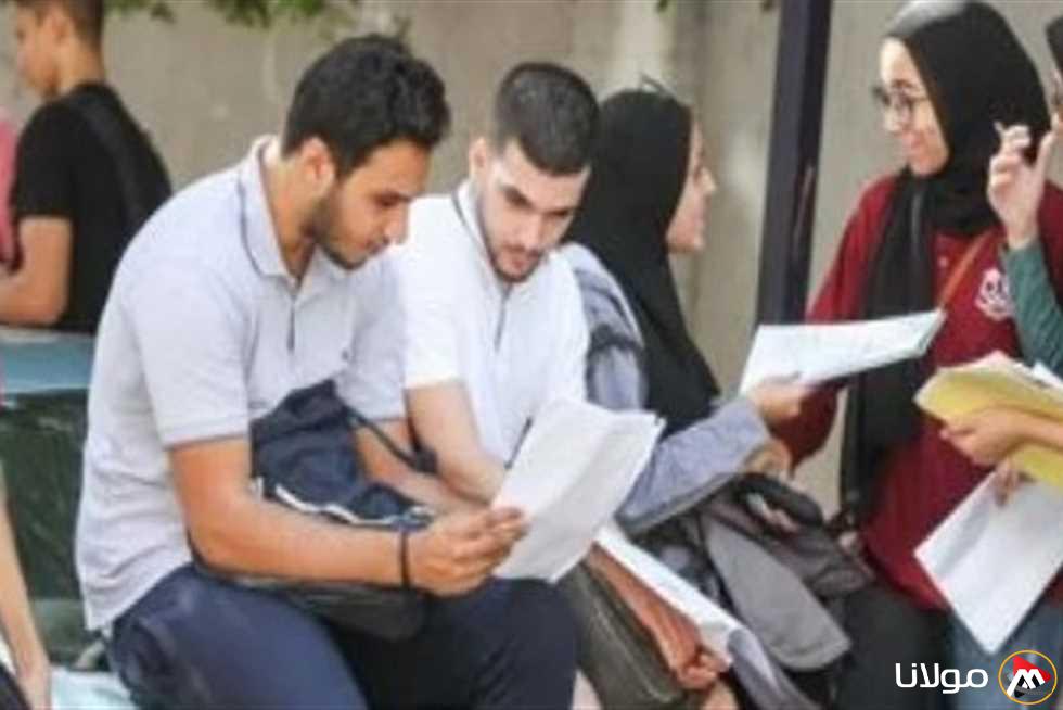 موعد إعلان أرقام جلوس الثانوية العامة 2025 وكيفية الاستعلام عنها بسهولة
