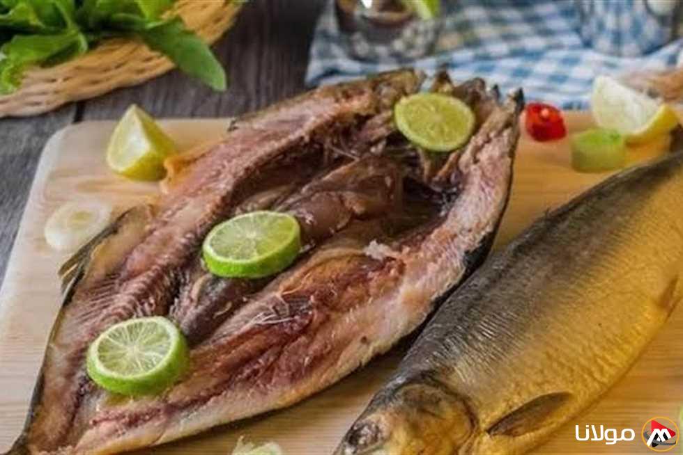 قبل تناول الرنجة: نصائح من المركز القومي للبحوث للحد من البكتيريا في شم النسيم