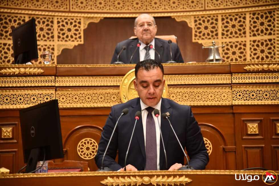 «مجلس الشيوخ» ينطلق في مناقشة قضايا الأمن الغذائي وفرصه في مصر