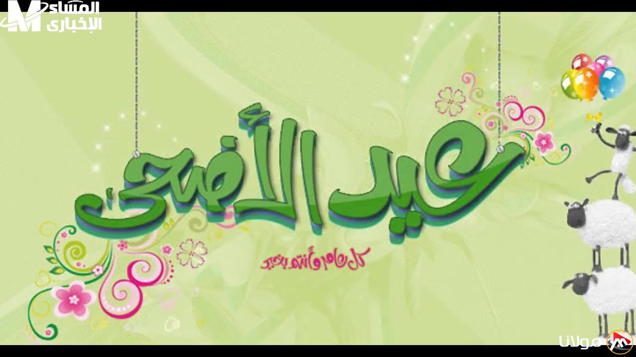 موعد وقفة عرفات وإجازة عيد الأضحى 2025 في مصر.. كم تبقى؟