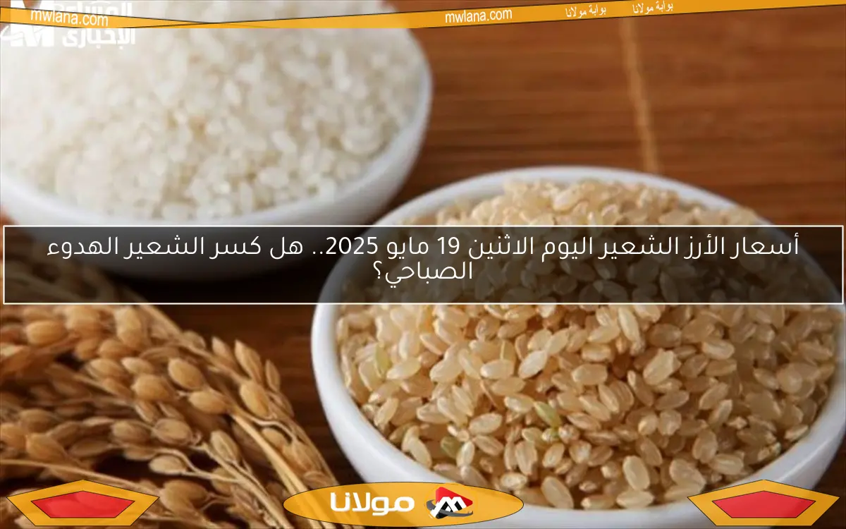 أسعار الأرز الشعير اليوم الاثنين 19 مايو 2025.. هل كسر الشعير الهدوء الصباحي؟