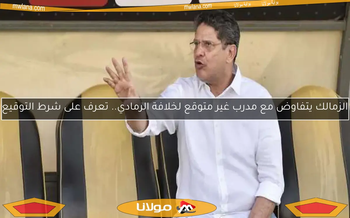 الزمالك يتفاوض مع مدرب غير متوقع لخلافة الرمادي.. تعرف على شرط التوقيع