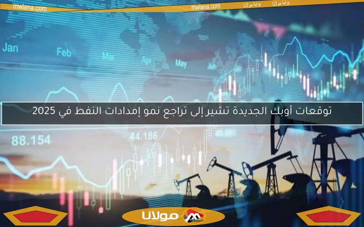 توقعات أوبك الجديدة تشير إلى تراجع نمو إمدادات النفط في 2025