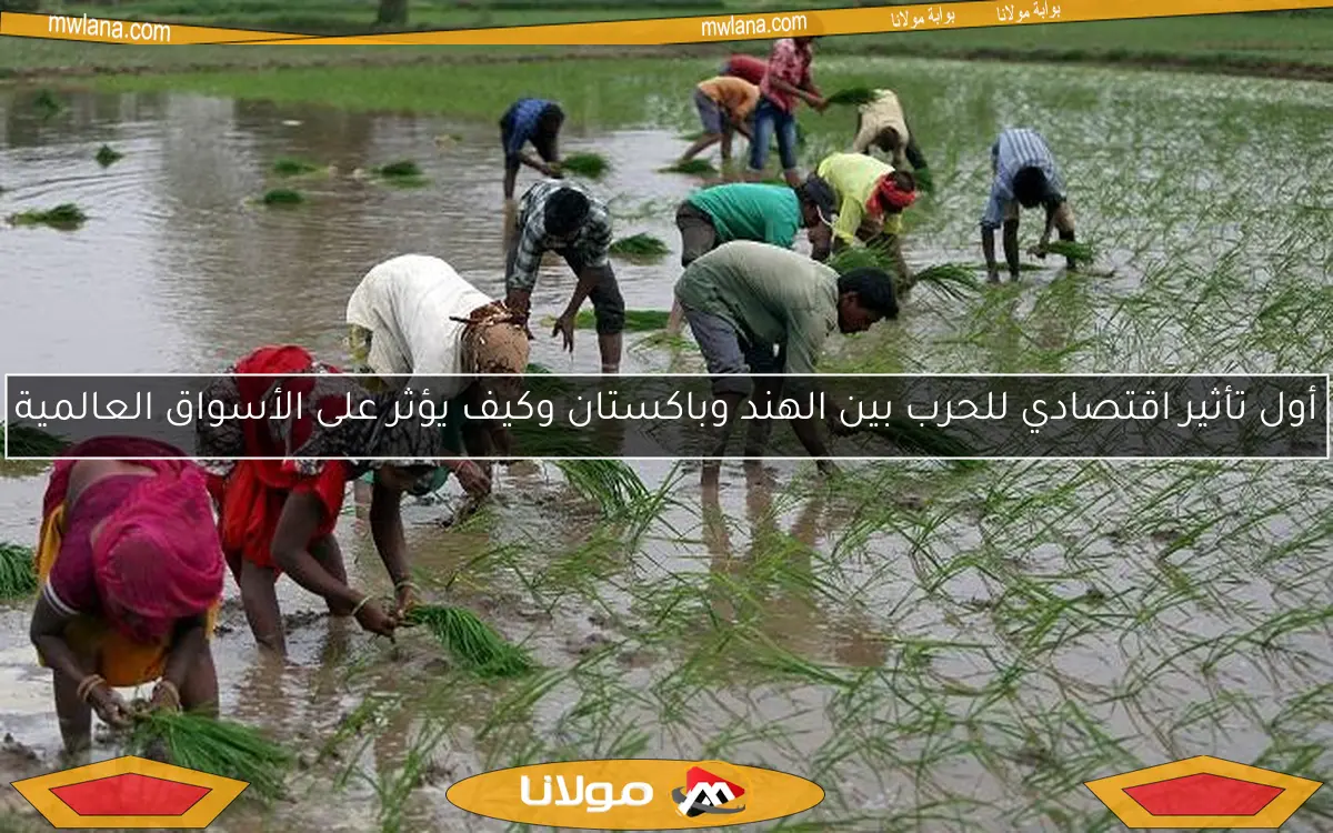 أول تأثير اقتصادي للحرب بين الهند وباكستان وكيف يؤثر على الأسواق العالمية