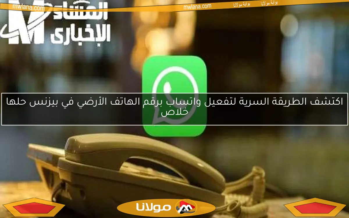 اكتشف الطريقة السرية لتفعيل واتساب برقم الهاتف الأرضي في بيزنس حلها خلاص