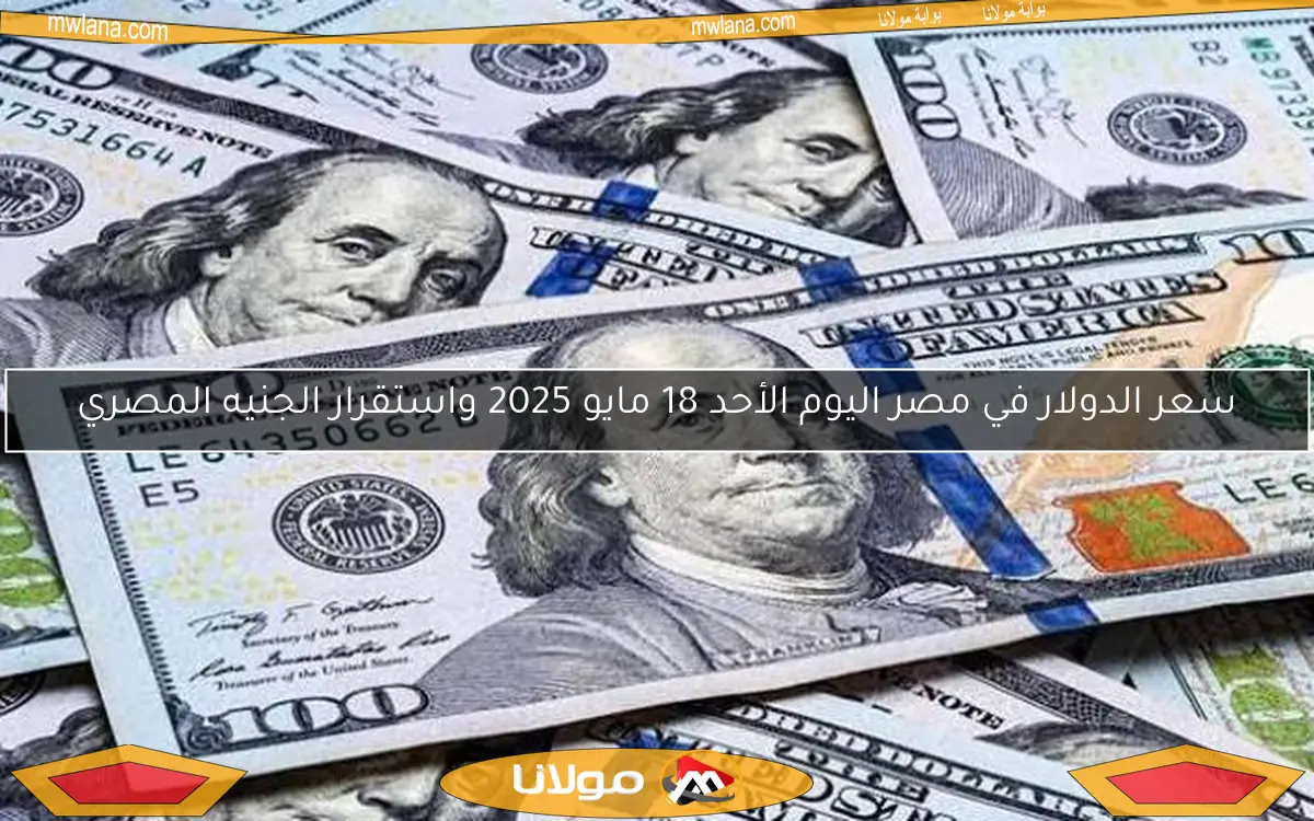 سعر الدولار في مصر اليوم الأحد 18 مايو 2025 واستقرار الجنيه المصري