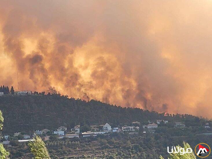 إسرائيل تعلن السيطرة على الحرائق وتربطها بالإهمال في إدارة الموارد الطبيعية