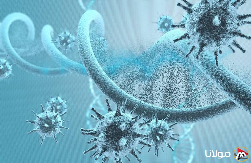 وفاة 216 طفلاً أمريكياً بسبب الإنفلونزا في عام 2025: حقائق صادمة تحتاج إلى معرفتها