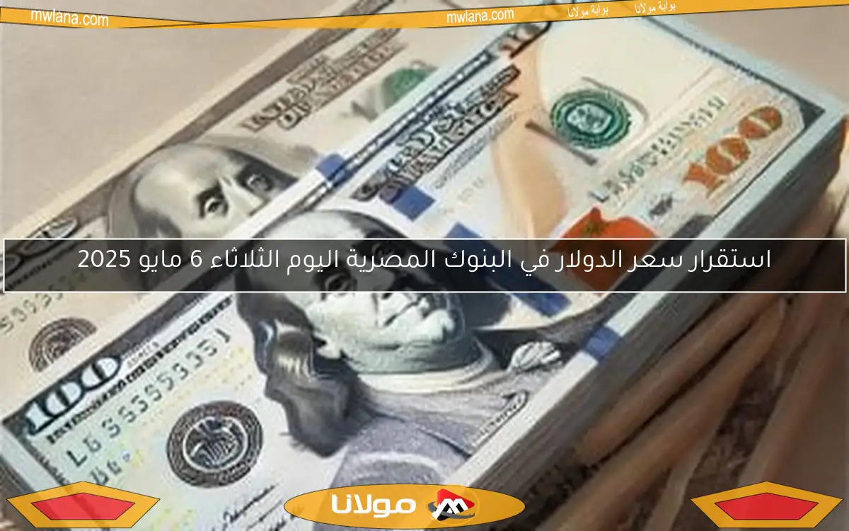 استقرار سعر الدولار في البنوك المصرية اليوم الثلاثاء 6 مايو 2025