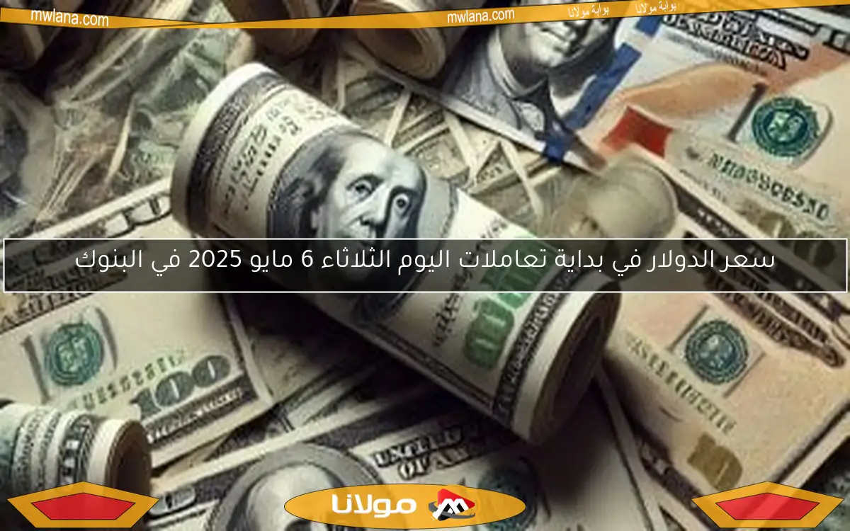 سعر الدولار في بداية تعاملات اليوم الثلاثاء 6 مايو 2025 في البنوك