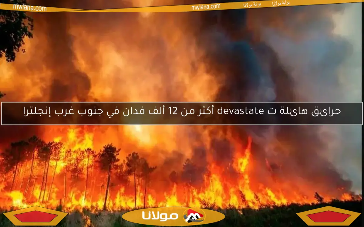 حرائق هائلة ت devastate أكثر من 12 ألف فدان في جنوب غرب إنجلترا