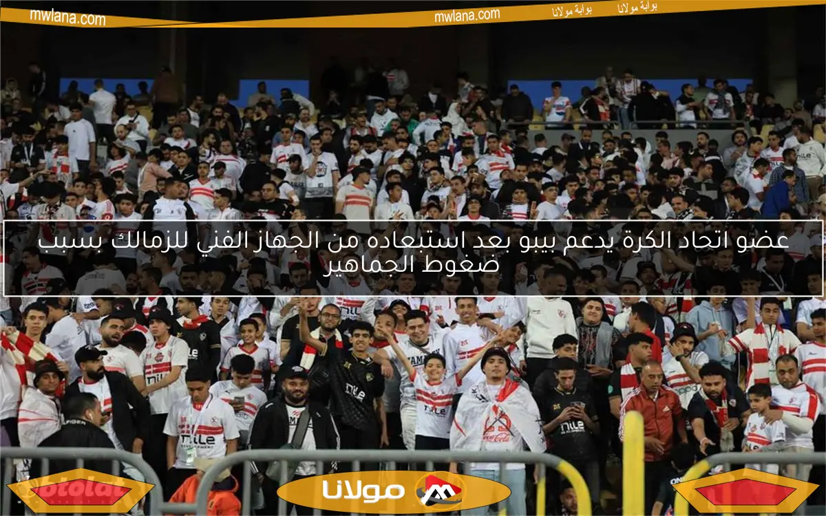 عضو اتحاد الكرة يدعم بيبو بعد استبعاده من الجهاز الفني للزمالك بسبب ضغوط الجماهير