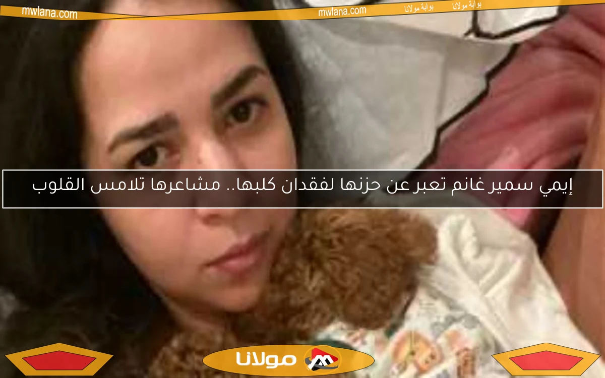 إيمي سمير غانم تعبر عن حزنها لفقدان كلبها.. مشاعرها تلامس القلوب