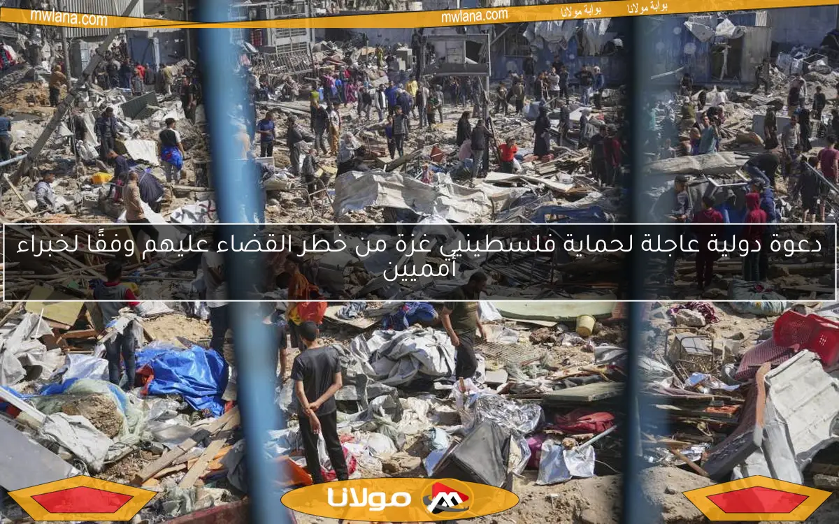 دعوة دولية عاجلة لحماية فلسطينيي غزة من خطر القضاء عليهم وفقًا لخبراء أمميين