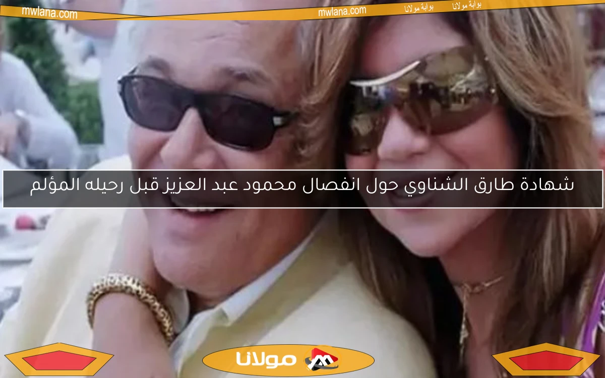 شهادة طارق الشناوي حول انفصال محمود عبد العزيز قبل رحيله المؤلم