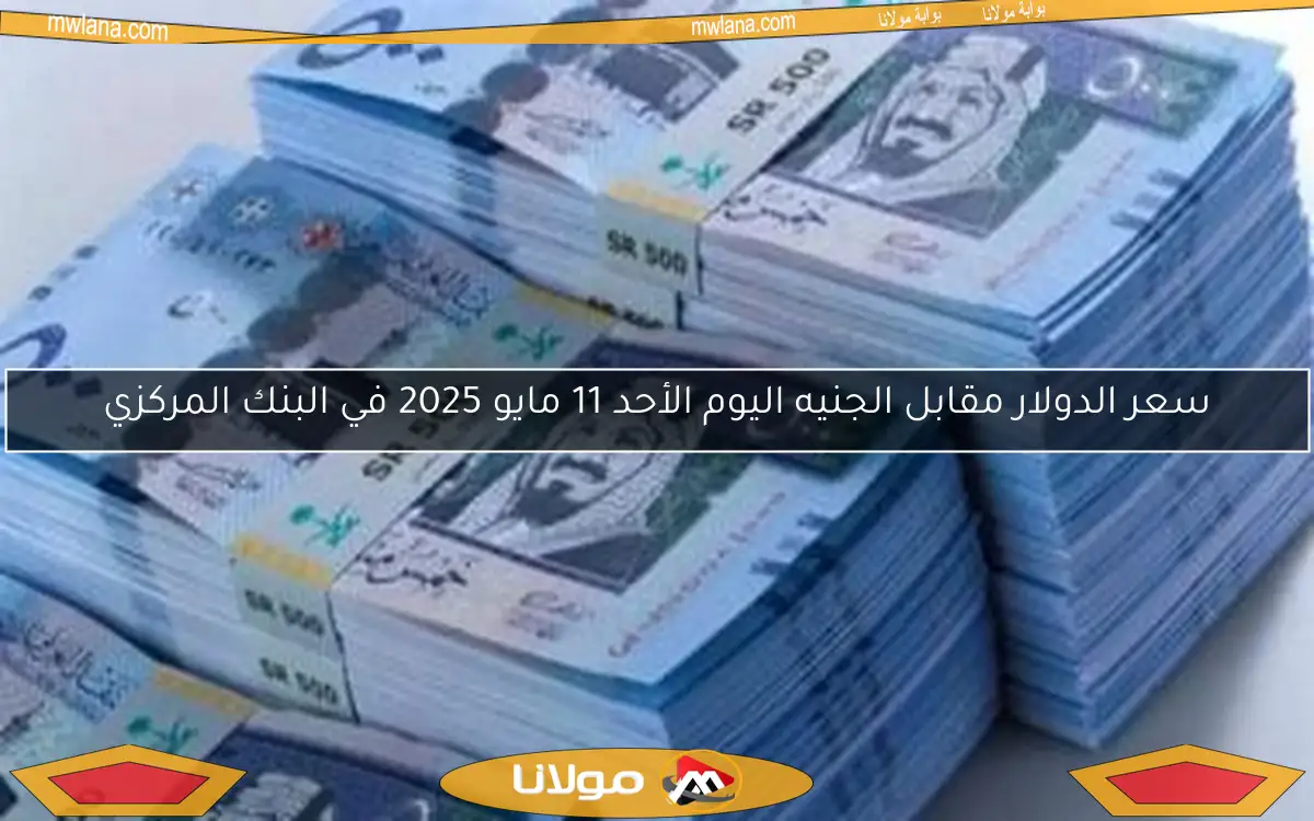 سعر الدولار مقابل الجنيه اليوم الأحد 11 مايو 2025 في البنك المركزي