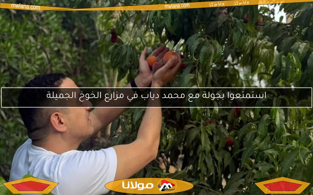 استمتعوا بجولة مع محمد دياب في مزارع الخوخ الجميلة