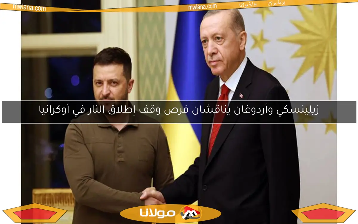 زيلينسكي وأردوغان يناقشان فرص وقف إطلاق النار في أوكرانيا