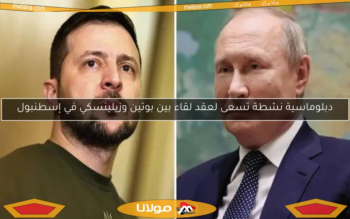 دبلوماسية نشطة تسعى لعقد لقاء بين بوتين وزيلينسكي في إسطنبول