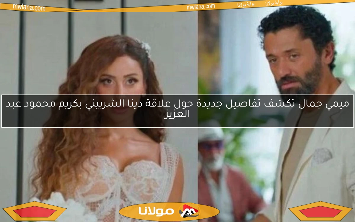 ميمي جمال تكشف تفاصيل جديدة حول علاقة دينا الشربيني بكريم محمود عبد العزيز