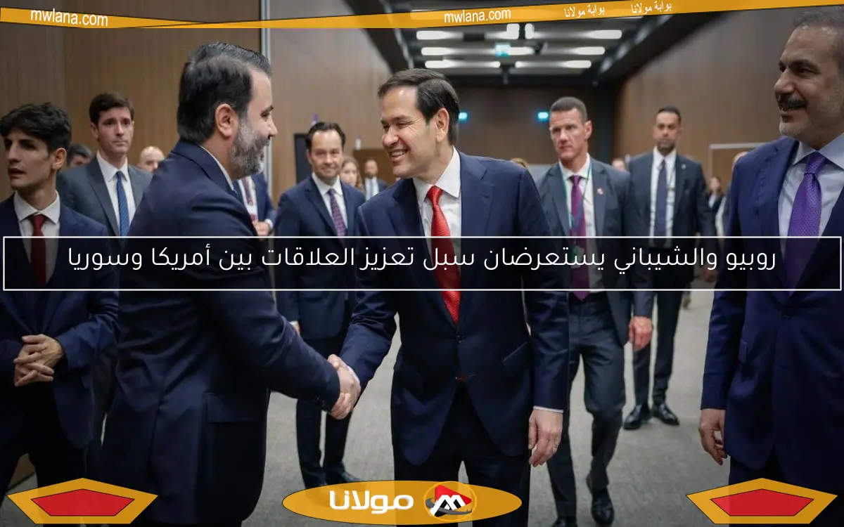 روبيو والشيباني يستعرضان سبل تعزيز العلاقات بين أمريكا وسوريا
