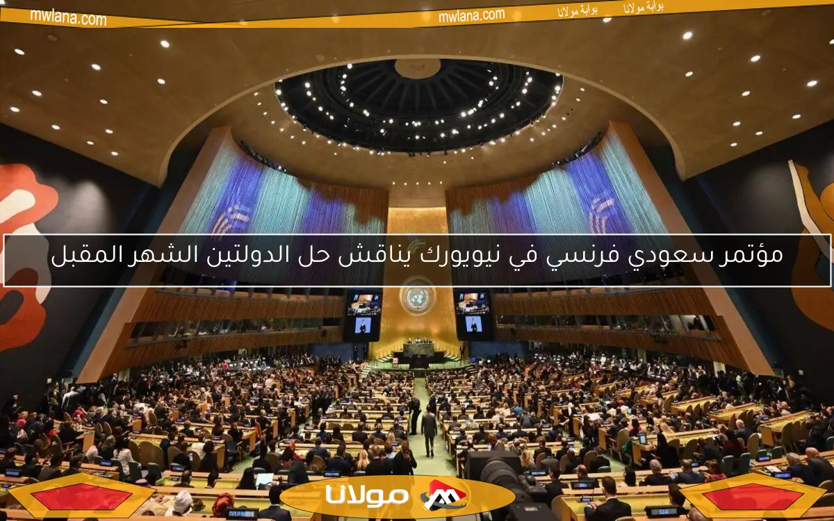 مؤتمر سعودي فرنسي في نيويورك يناقش حل الدولتين الشهر المقبل