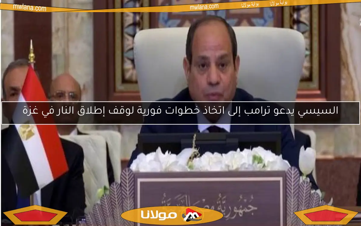 السيسي يدعو ترامب إلى اتخاذ خطوات فورية لوقف إطلاق النار في غزة