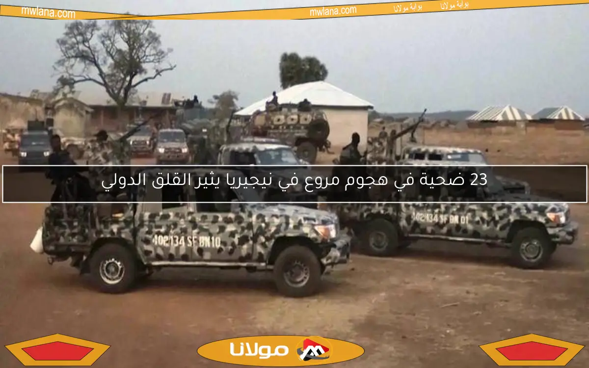 23 ضحية في هجوم مروع في نيجيريا يثير القلق الدولي