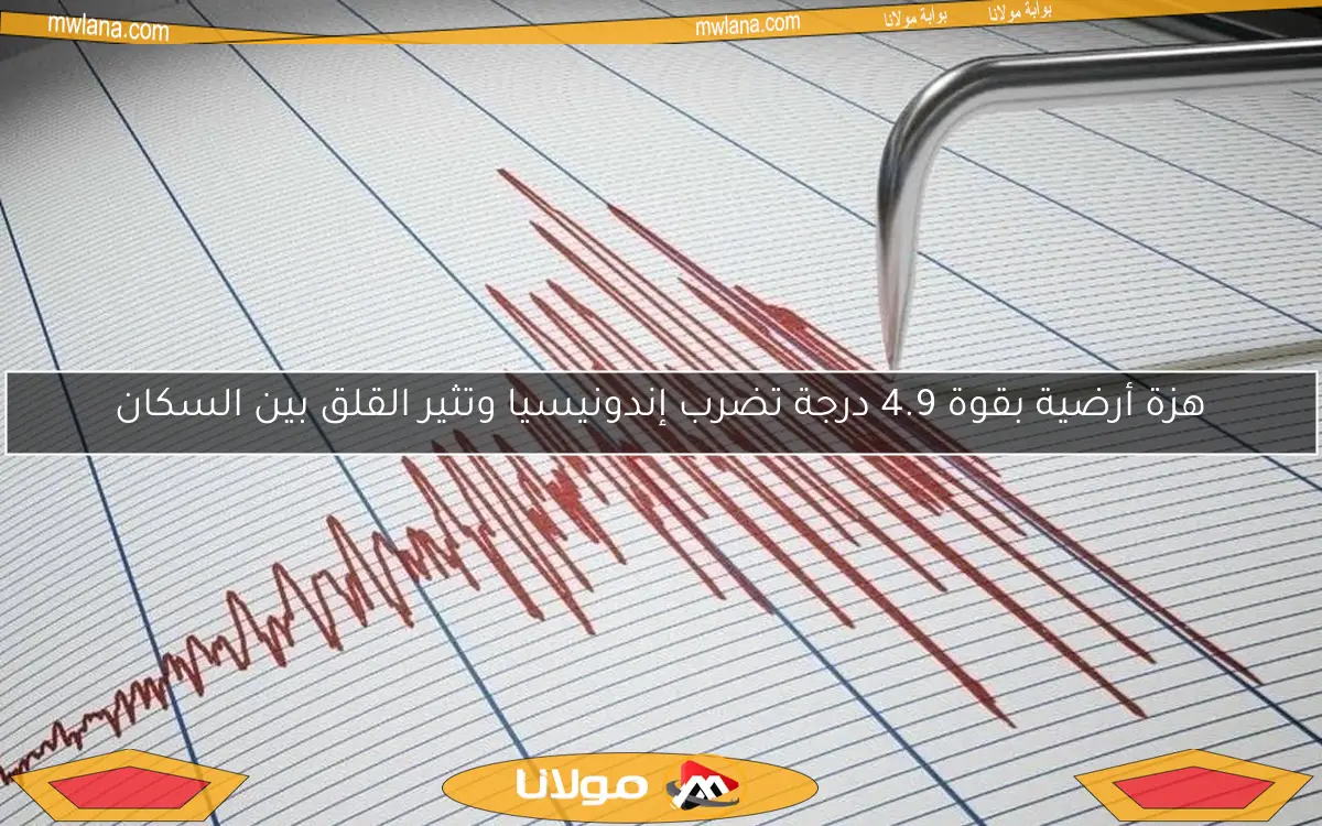 هزة أرضية بقوة 4.9 درجة تضرب إندونيسيا وتثير القلق بين السكان