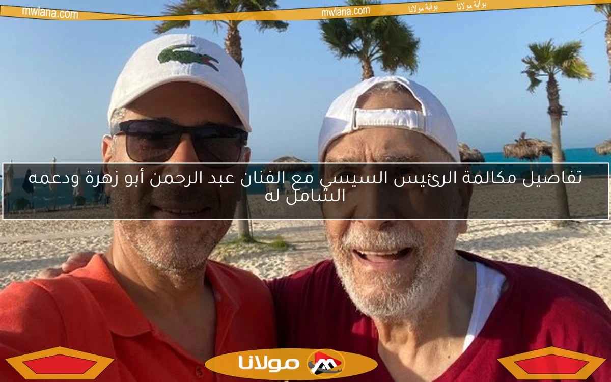 تفاصيل مكالمة الرئيس السيسي مع الفنان عبد الرحمن أبو زهرة ودعمه الشامل له