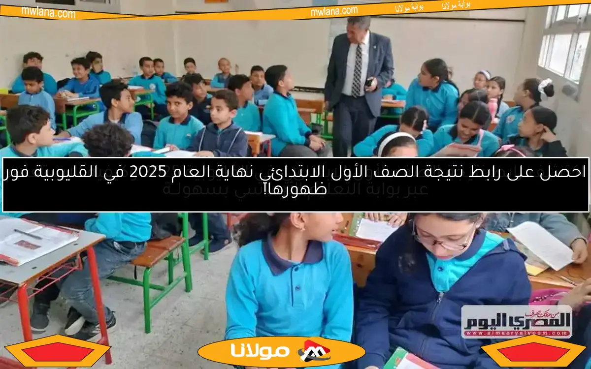 احصل على رابط نتيجة الصف الأول الابتدائي نهاية العام 2025 في القليوبية فور ظهورها!