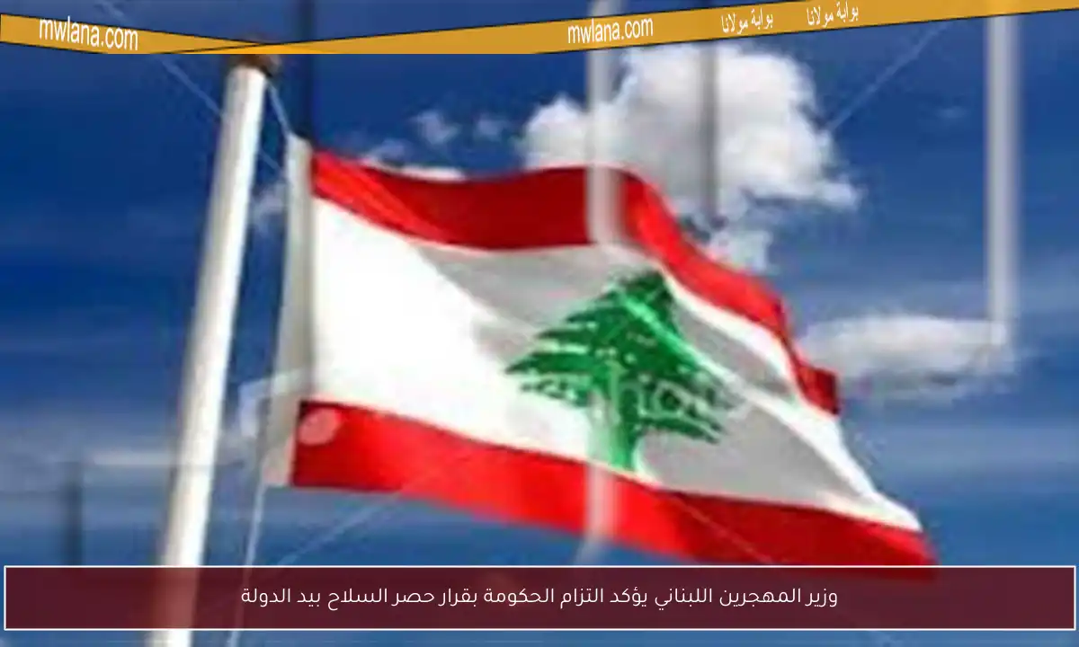 وزير المهجرين اللبناني يؤكد التزام الحكومة بقرار حصر السلاح بيد الدولة