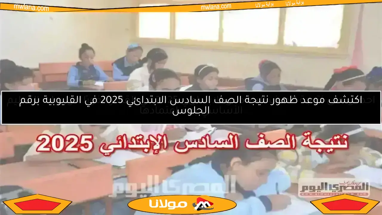 موعد إعلان نتيجة الصف السادس الابتدائي 2025 في محافظة الوادي الجديد وكيفية الاستعلام عبر موقع الوزارة
