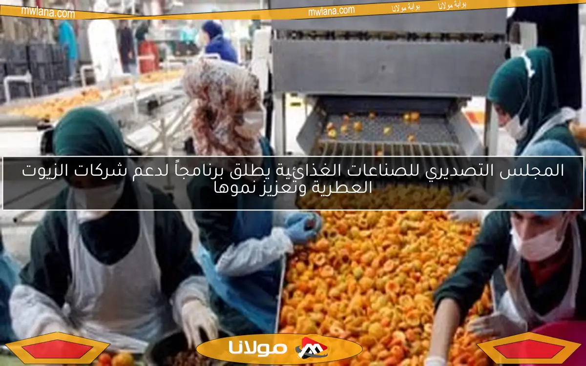 المجلس التصديري للصناعات الغذائية يطلق برنامجاً لدعم شركات الزيوت العطرية وتعزيز نموها