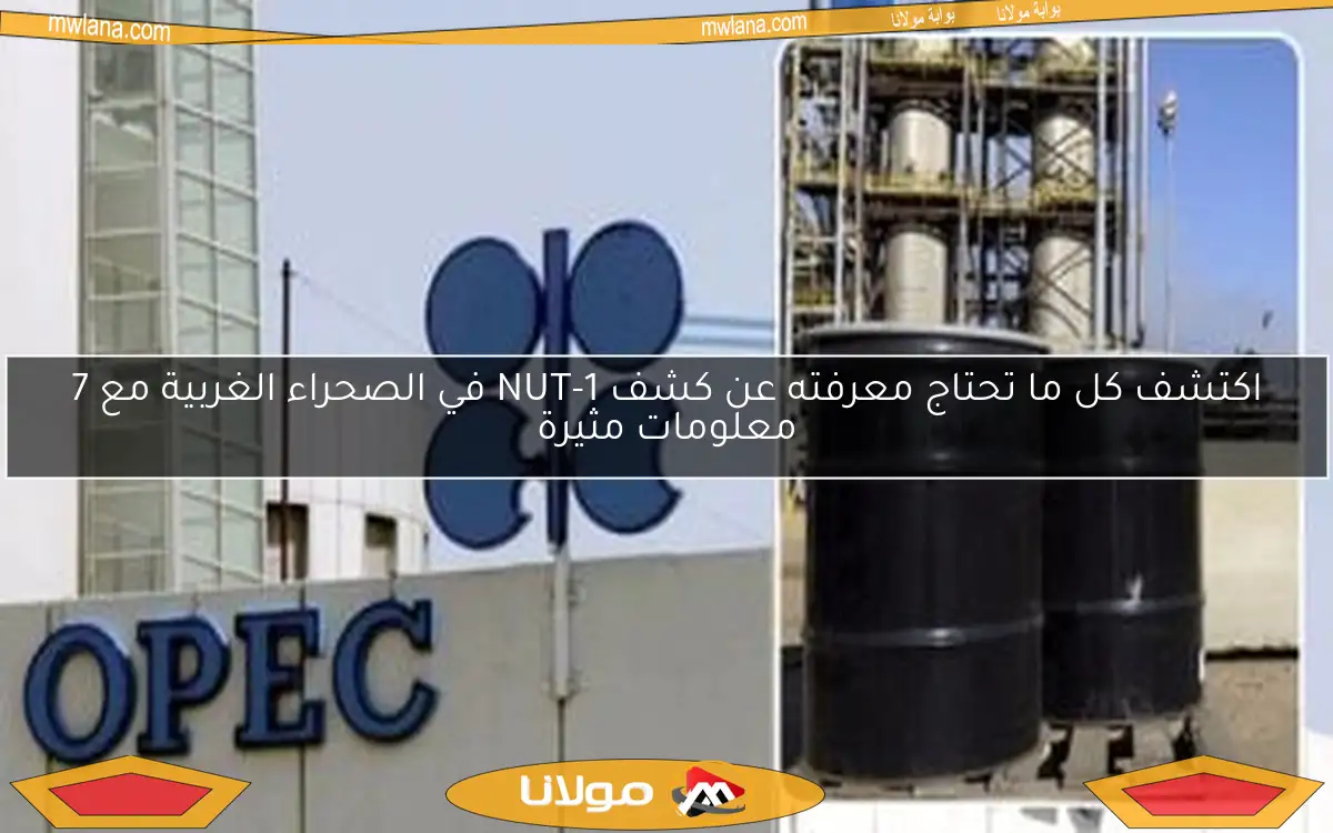 اكتشف كل ما تحتاج معرفته عن كشف NUT-1 في الصحراء الغربية مع 7 معلومات مثيرة