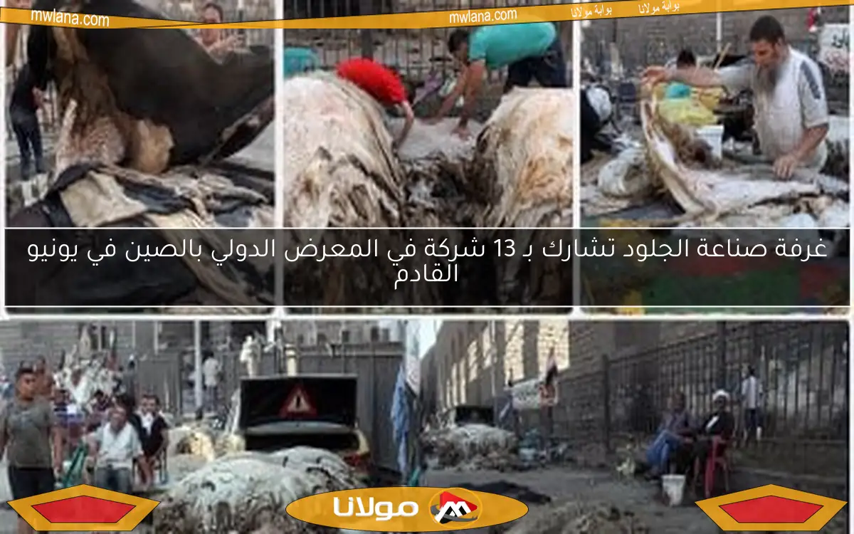 غرفة صناعة الجلود تشارك بـ 13 شركة في المعرض الدولي بالصين في يونيو القادم