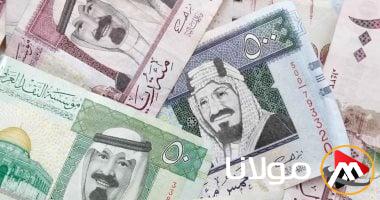 انخفاض سعر الريال السعودي مقابل الجنيه المصري اليوم الأحد 4 مايو 2025 أثناء منتصف التعاملات