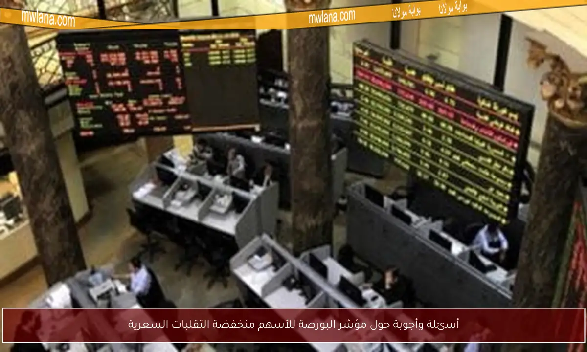 أسئلة وأجوبة حول مؤشر البورصة للأسهم منخفضة التقلبات السعرية