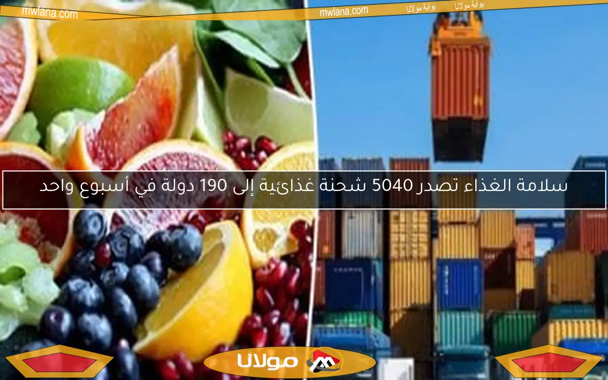 سلامة الغذاء تصدر 5040 شحنة غذائية إلى 190 دولة في أسبوع واحد
