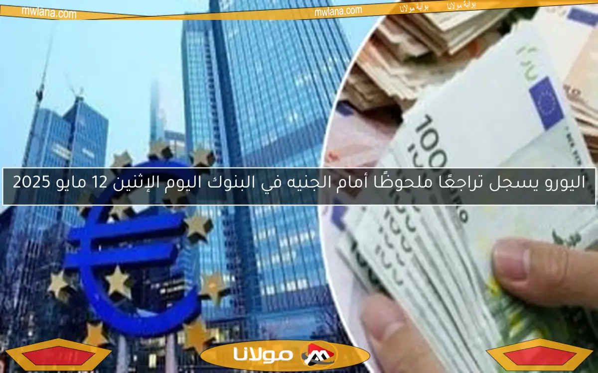 اليورو يسجل تراجعًا ملحوظًا أمام الجنيه في البنوك اليوم الإثنين 12 مايو 2025