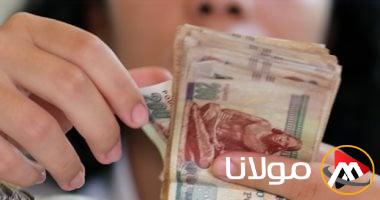 شركات البورصة تحقق رقمًا قياسيًا في توزيع الأرباح على المساهمين خلال 4 أشهر