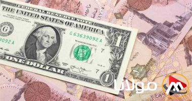 سعر الدولار اليوم السبت 3 مايو 2025 يصل إلى 50.87 جنيه للبيع في السوق المالية
