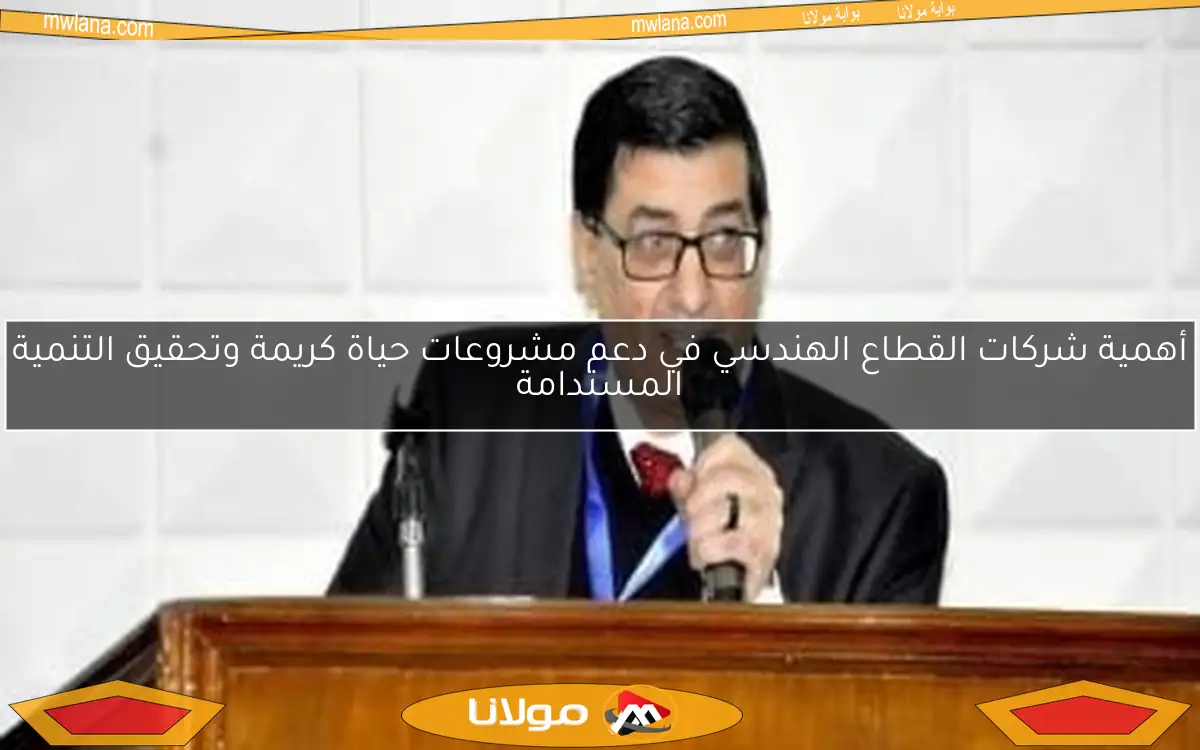 أهمية شركات القطاع الهندسي في دعم مشروعات حياة كريمة وتحقيق التنمية المستدامة