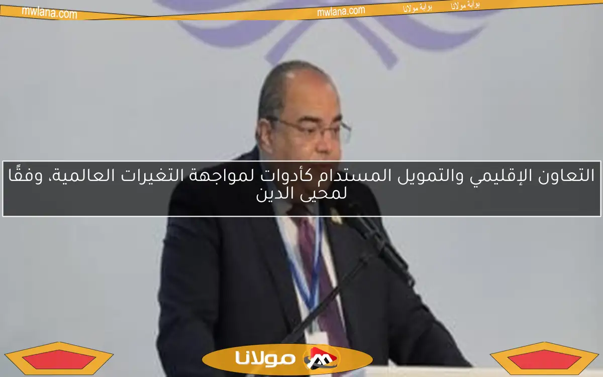 التعاون الإقليمي والتمويل المستدام كأدوات لمواجهة التغيرات العالمية، وفقًا لمحيى الدين