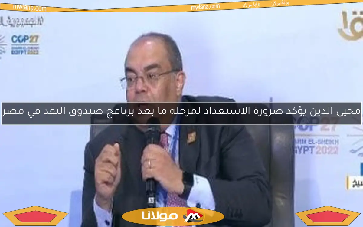 محيى الدين يؤكد ضرورة الاستعداد لمرحلة ما بعد برنامج صندوق النقد في مصر