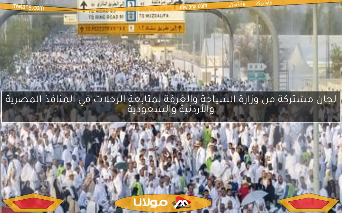 لجان مشتركة من وزارة السياحة والغرفة لمتابعة الرحلات في المنافذ المصرية والأردنية والسعودية