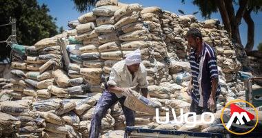 أسعار الأسمنت اليوم الخميس 1 مايو 2025 تصل إلى 3350 جنيهًا للطن