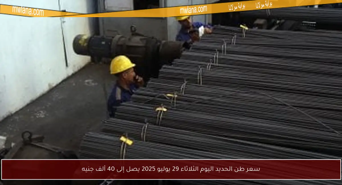 سعر طن الحديد اليوم الثلاثاء 29 يوليو 2025 يصل إلى 40 ألف جنيه