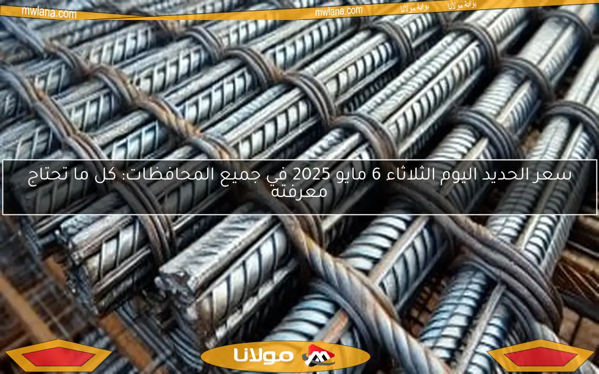 سعر الحديد اليوم الثلاثاء 6 مايو 2025 في جميع المحافظات: كل ما تحتاج معرفته